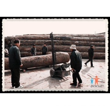 Max Log Diameter 2000mm Wood Slasher